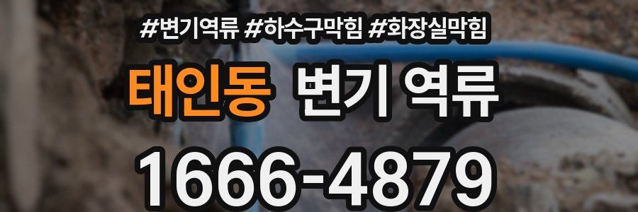 태인동 변기 역류