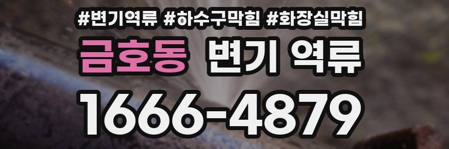 금호동 변기 역류