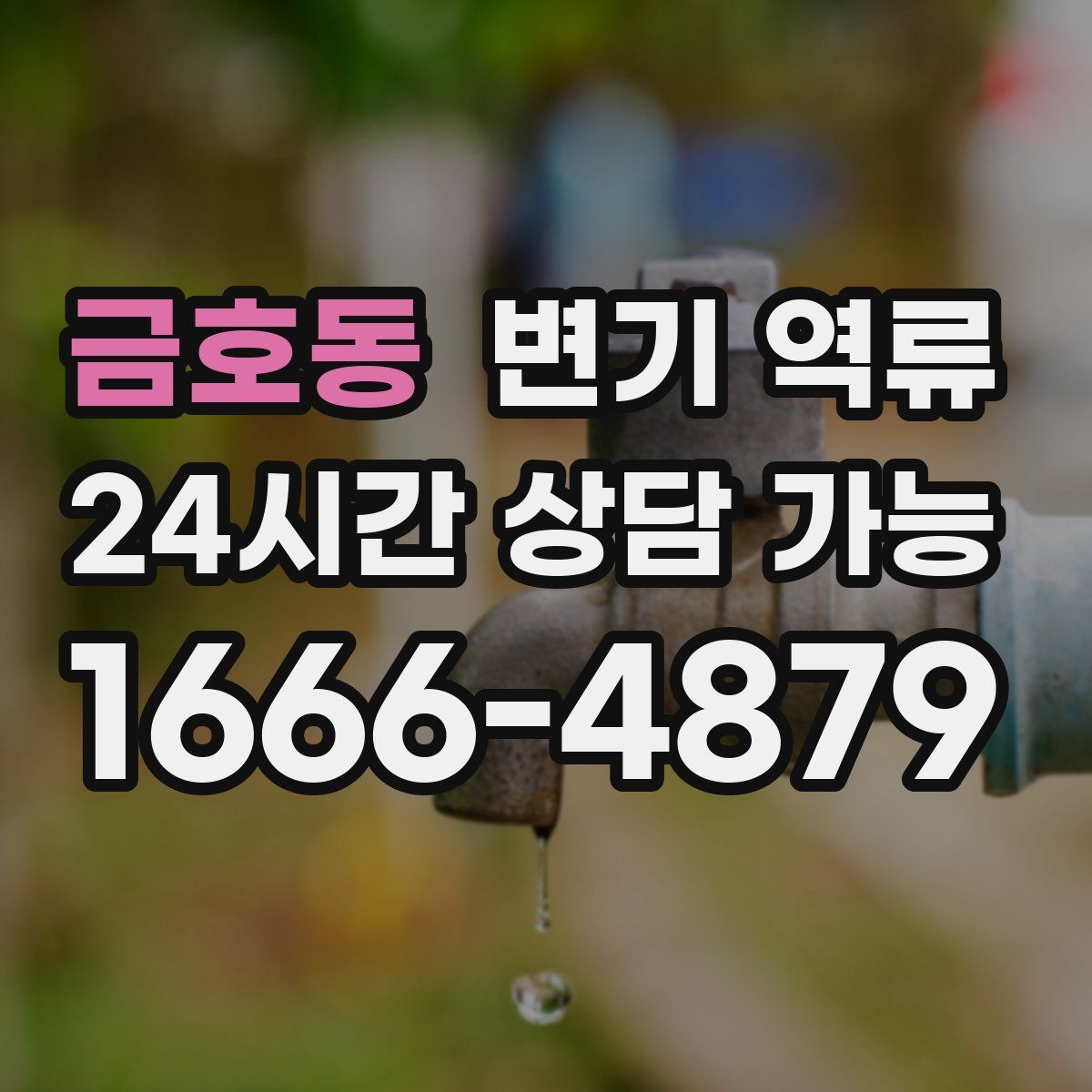 금호동 변기 역류