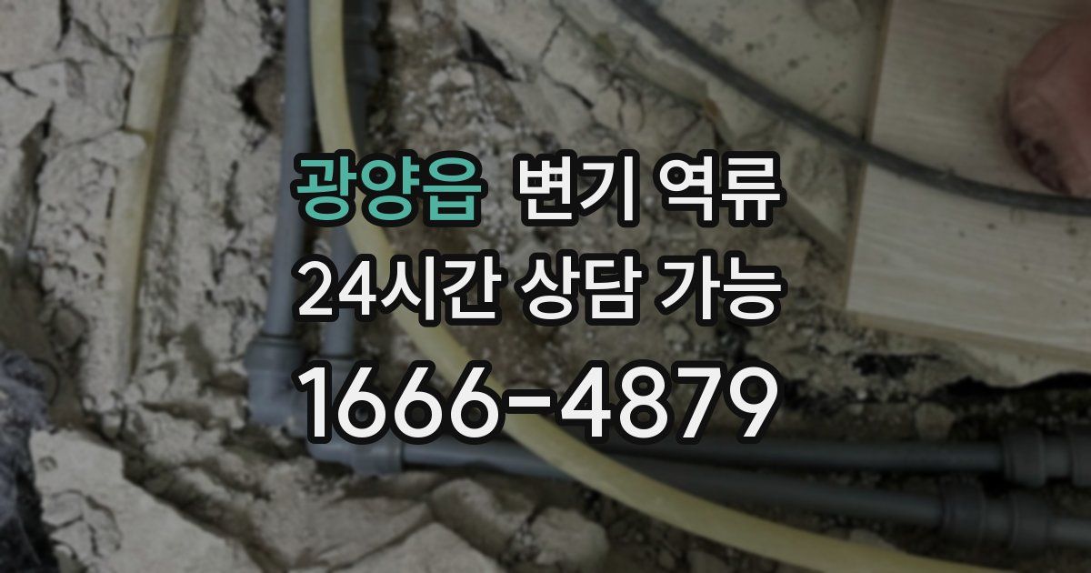 광양읍 변기 역류