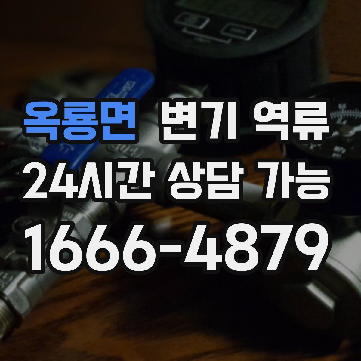 옥룡면 변기 역류