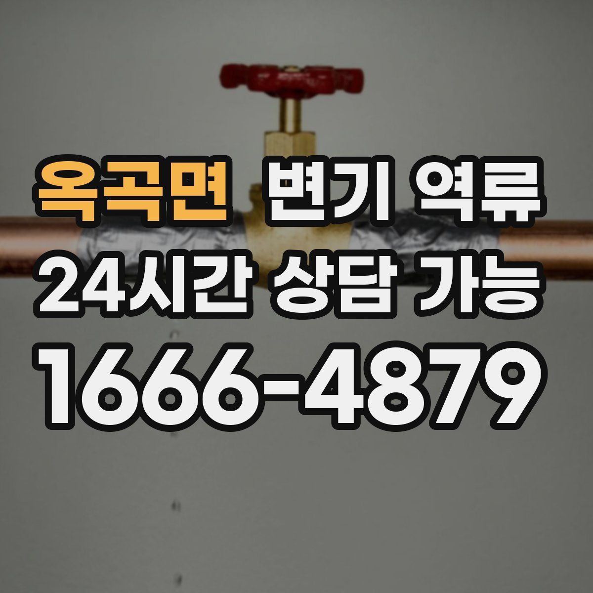 옥곡면 변기 역류