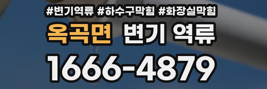 옥곡면 변기 역류