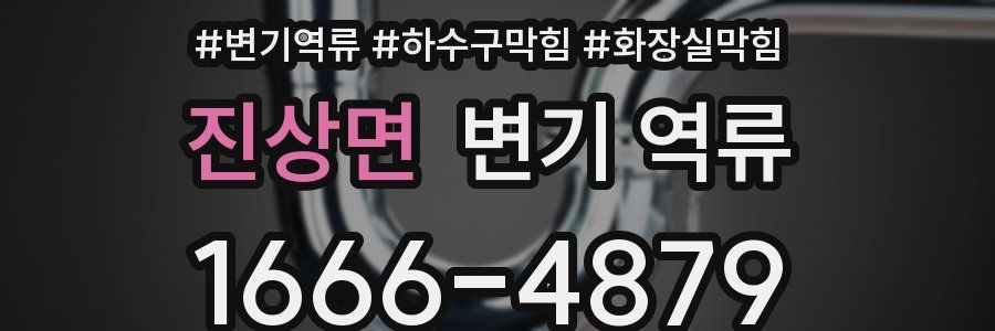 진상면 변기 역류