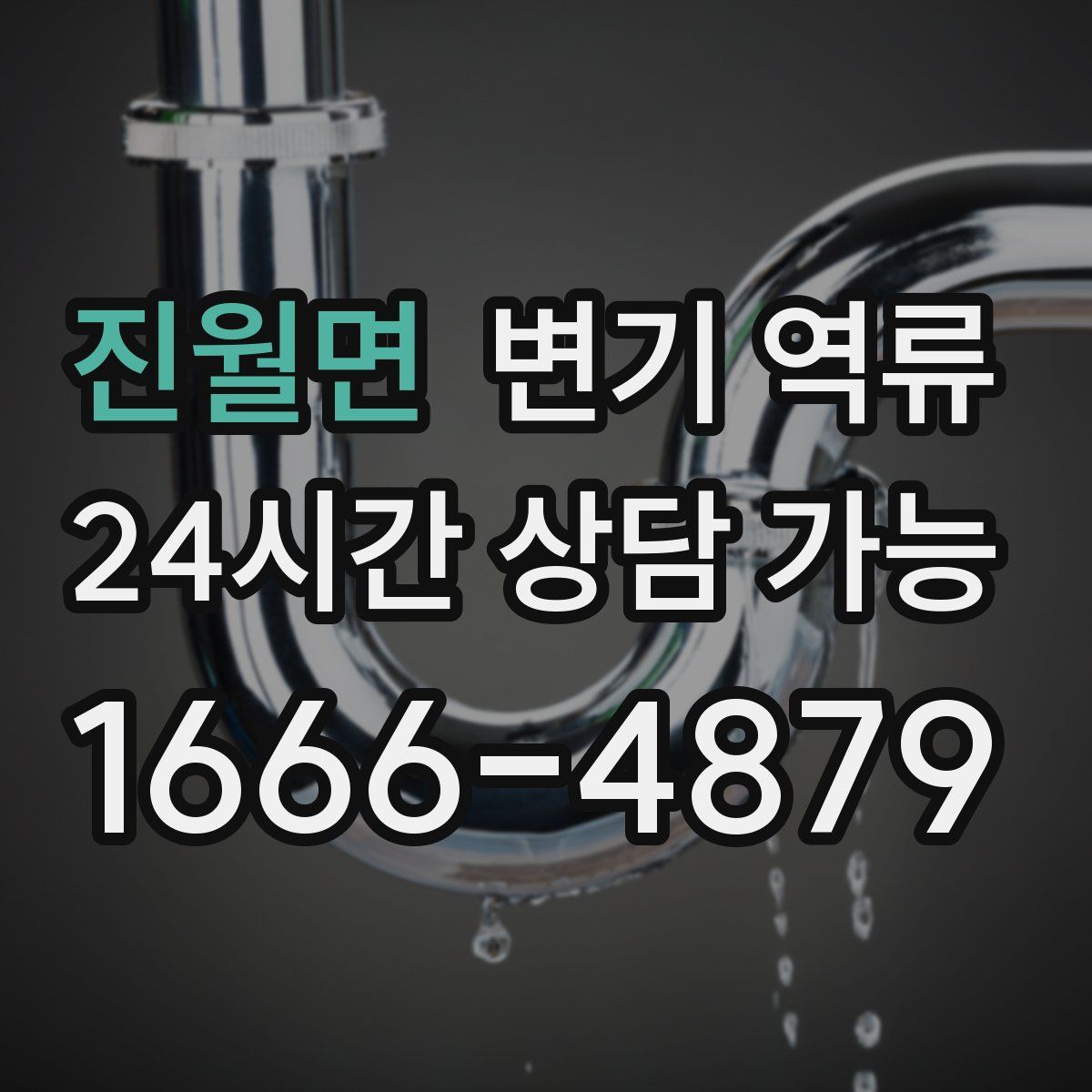 진월면 변기 역류