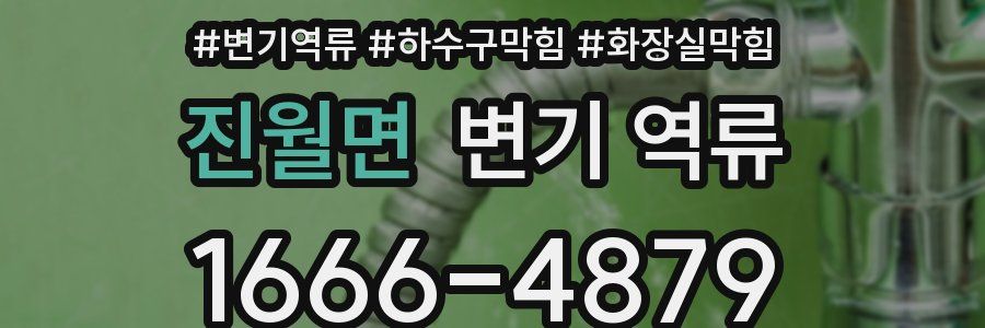 진월면 변기 역류