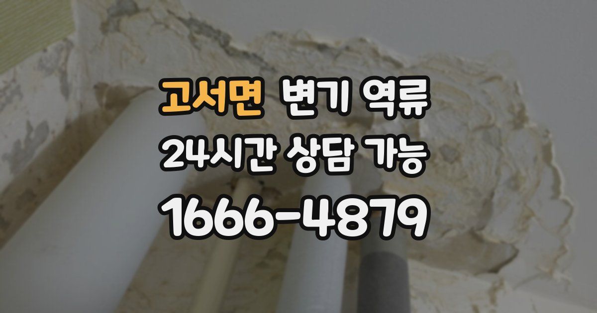 고서면 변기 역류