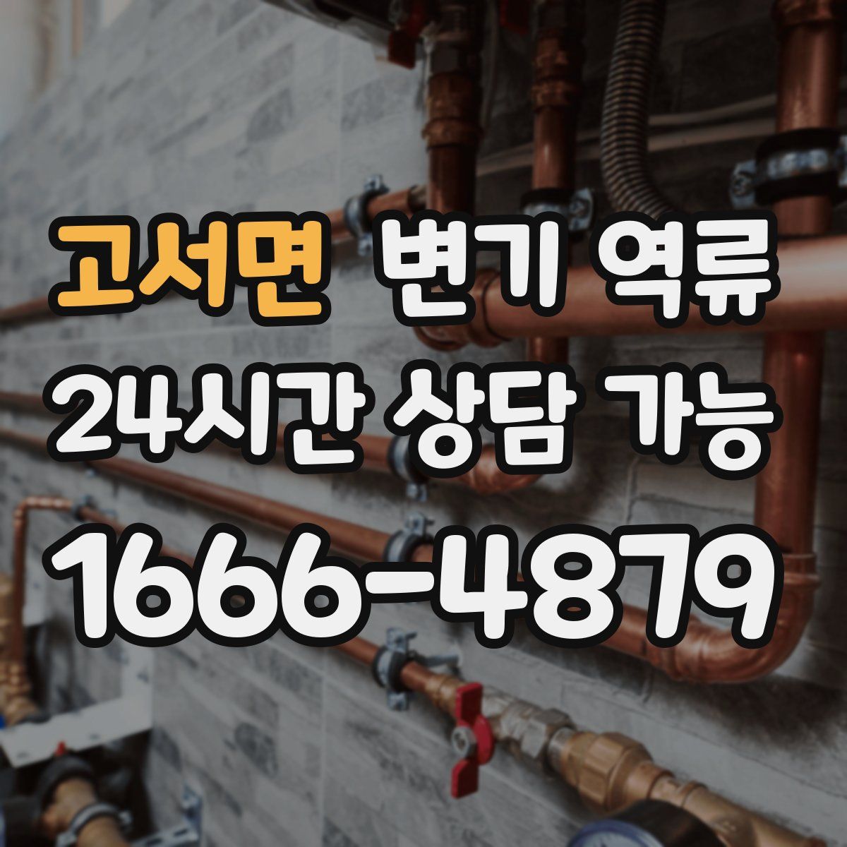 고서면 변기 역류