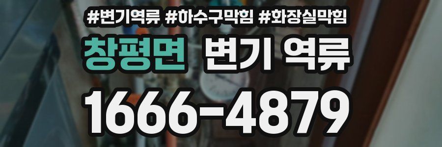 창평면 변기 역류