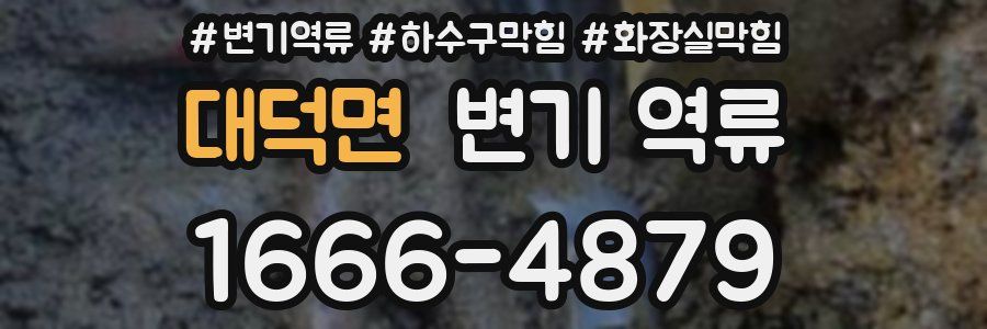 대덕면 변기 역류