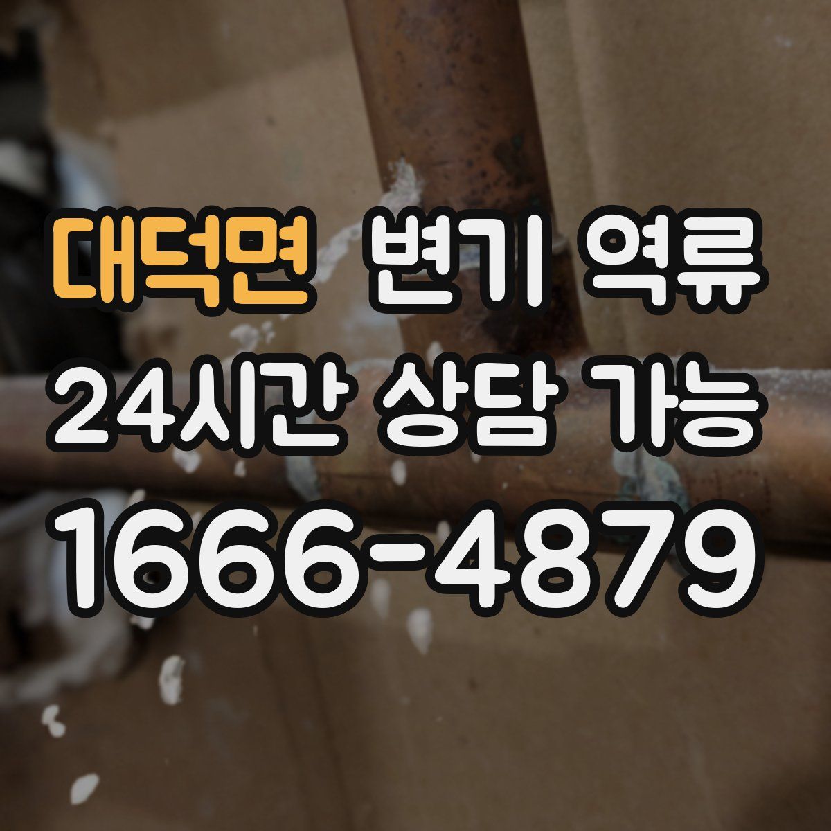 대덕면 변기 역류