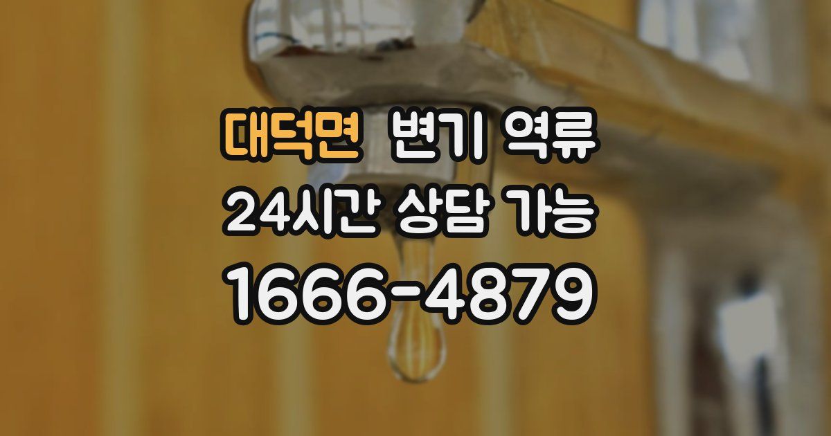 대덕면 변기 역류