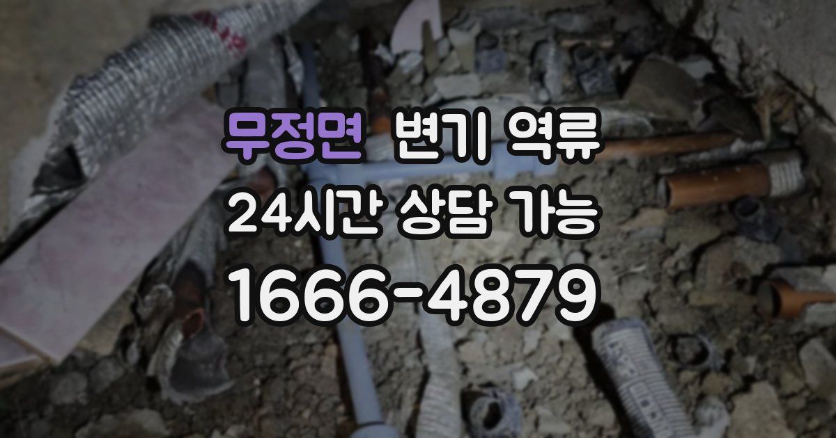 무정면 변기 역류