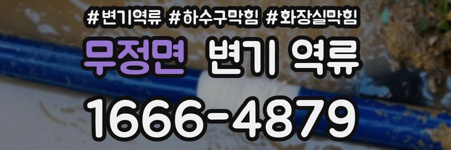 무정면 변기 역류