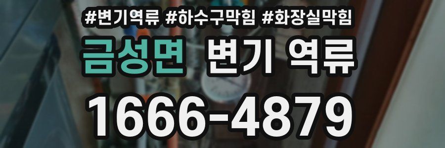 금성면 변기 역류