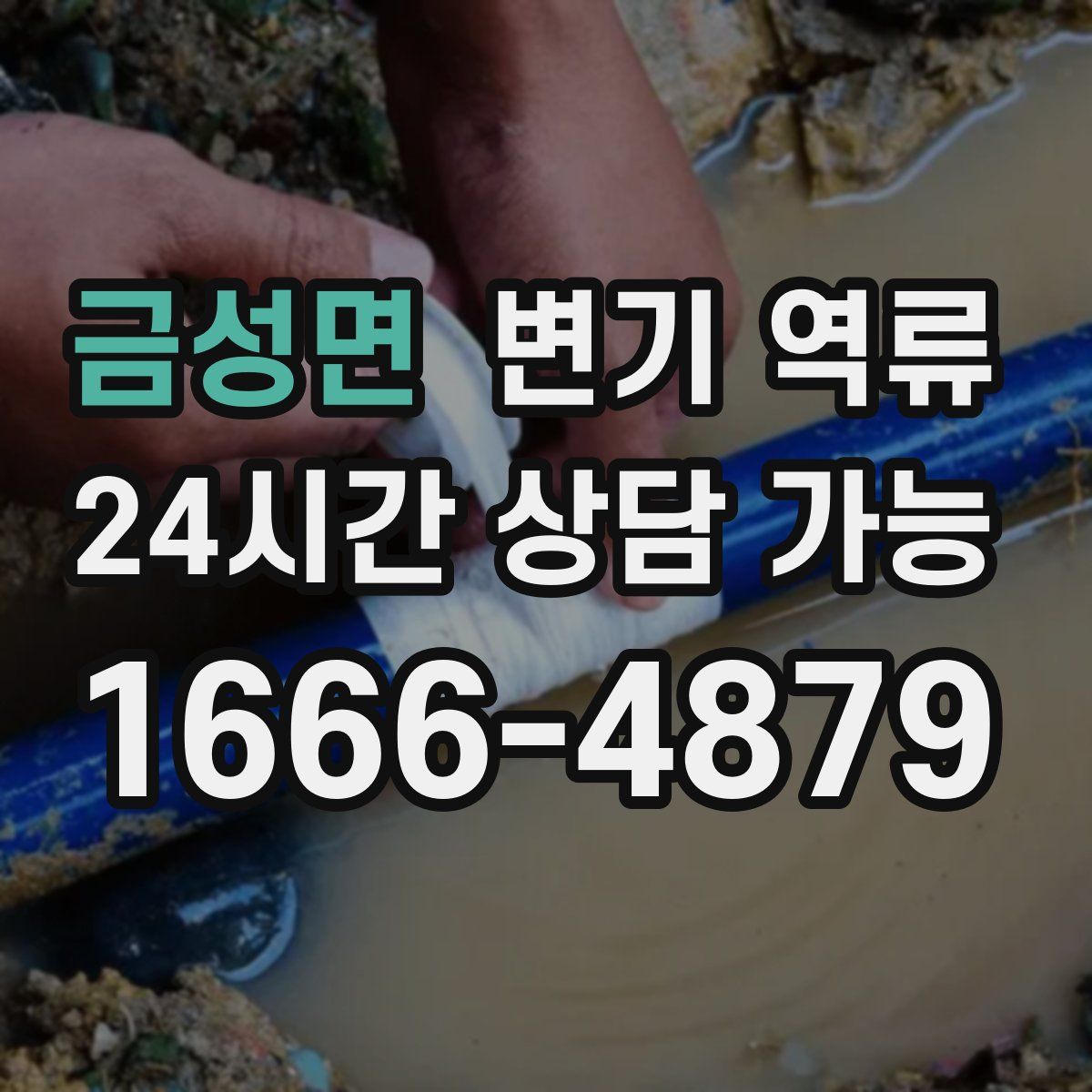 금성면 변기 역류