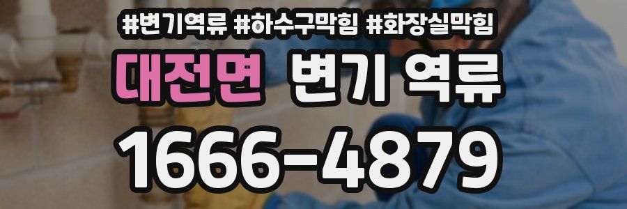 대전면 변기 역류