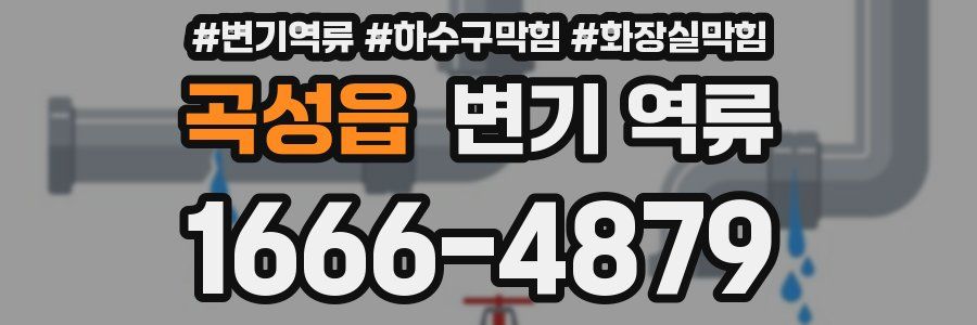 곡성읍 변기 역류