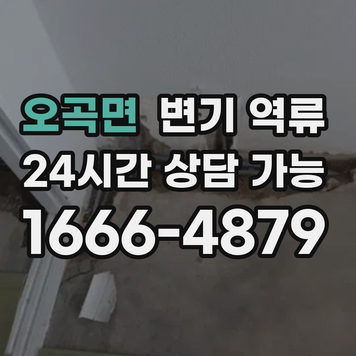 오곡면 변기 역류