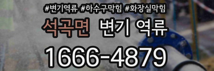 석곡면 변기 역류