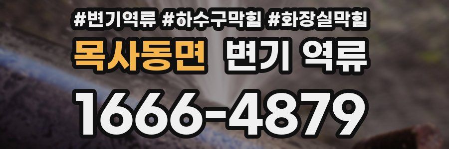 목사동면 변기 역류