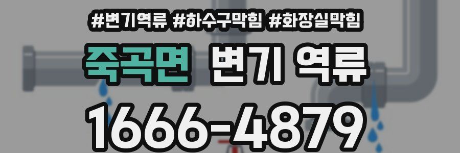 죽곡면 변기 역류