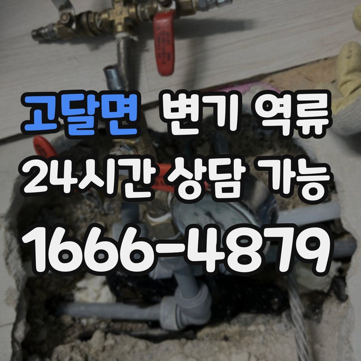 고달면 변기 역류 아래층 민원 전에 미리 해야 할 기록