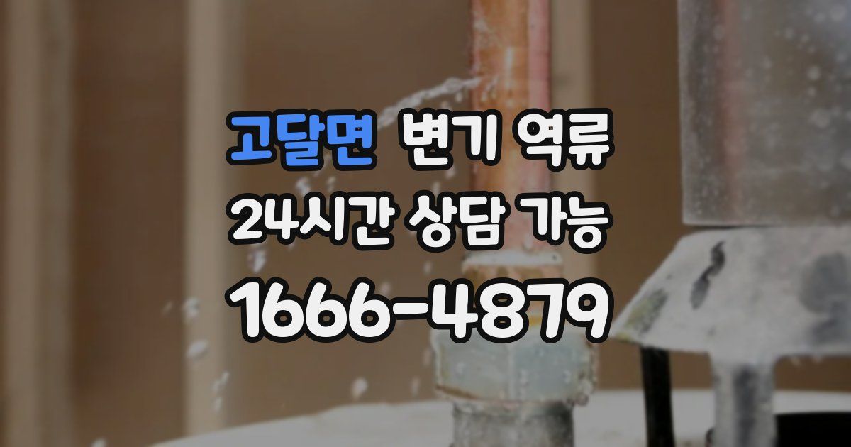 고달면 변기 역류