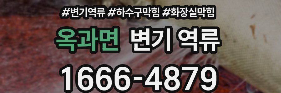 옥과면 변기 역류