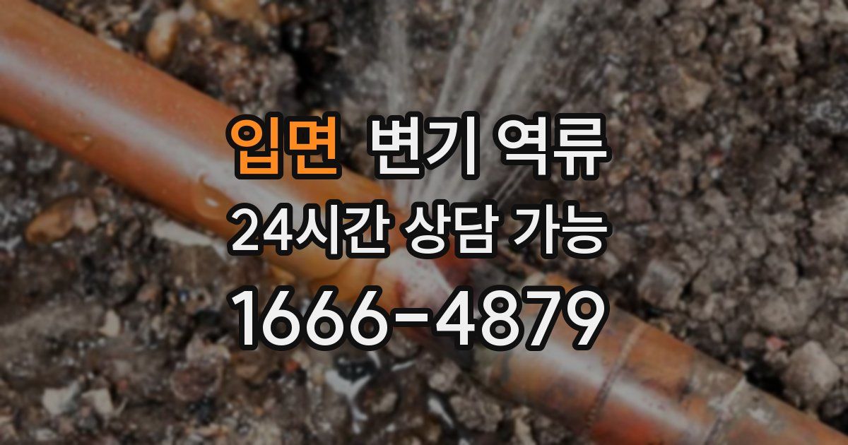 입면 변기 역류