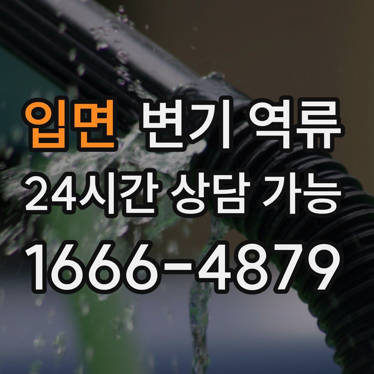 입면 변기 역류