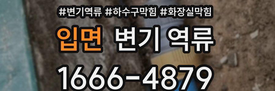 입면 변기 역류