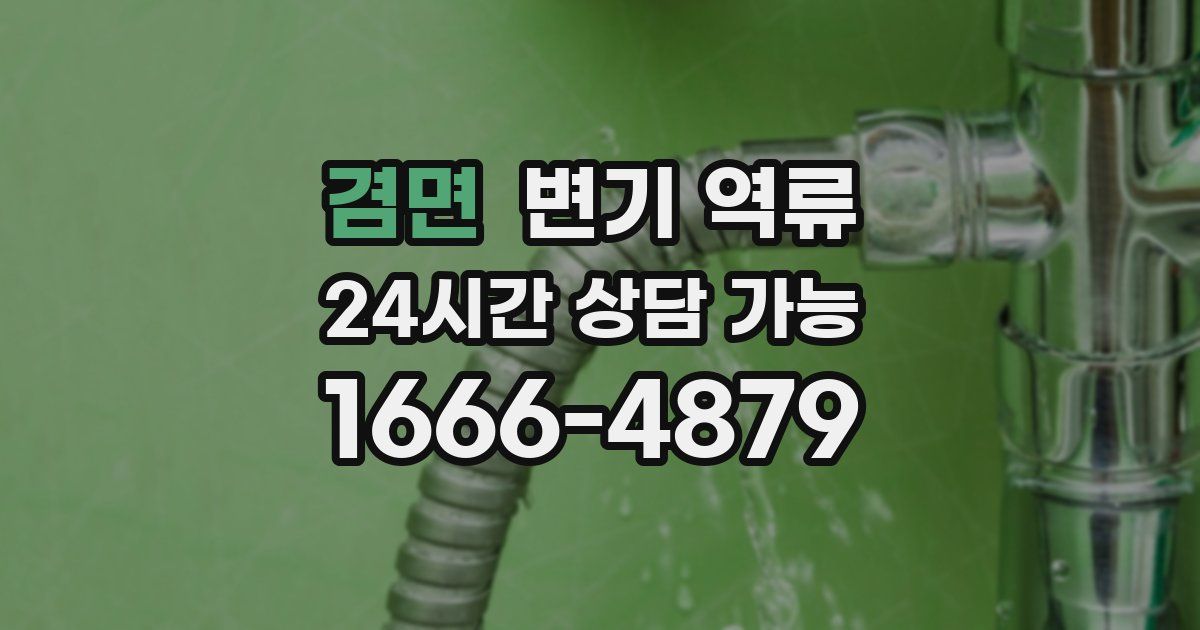 겸면 변기 역류