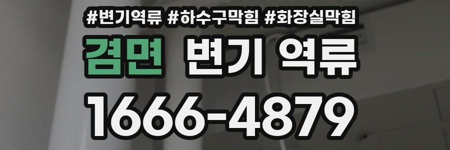 겸면 변기 역류