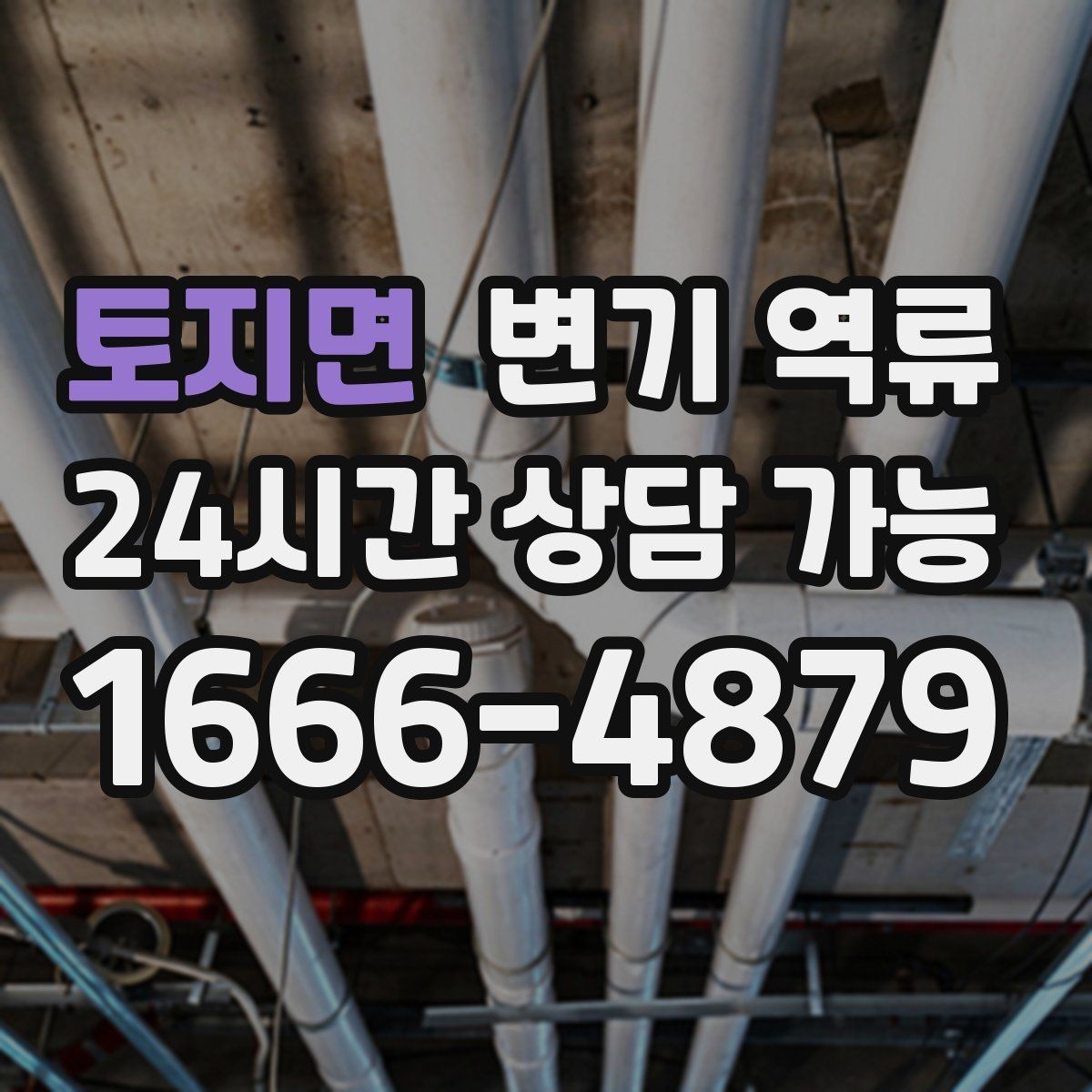 토지면 변기 역류 변기 도기 손상을 피해야 하는 이유