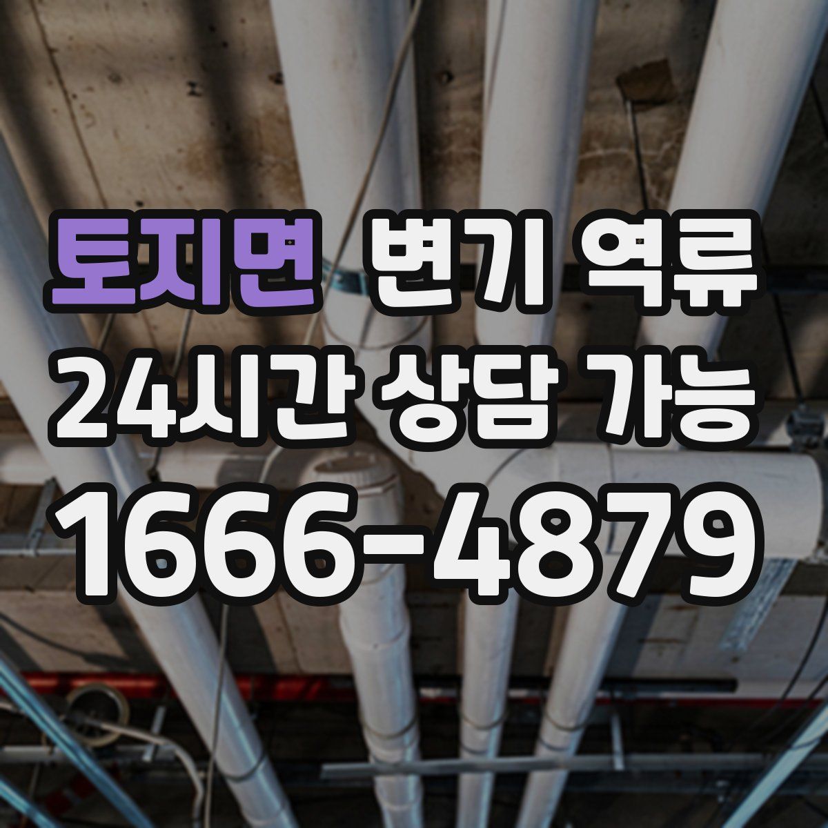 토지면 변기 역류