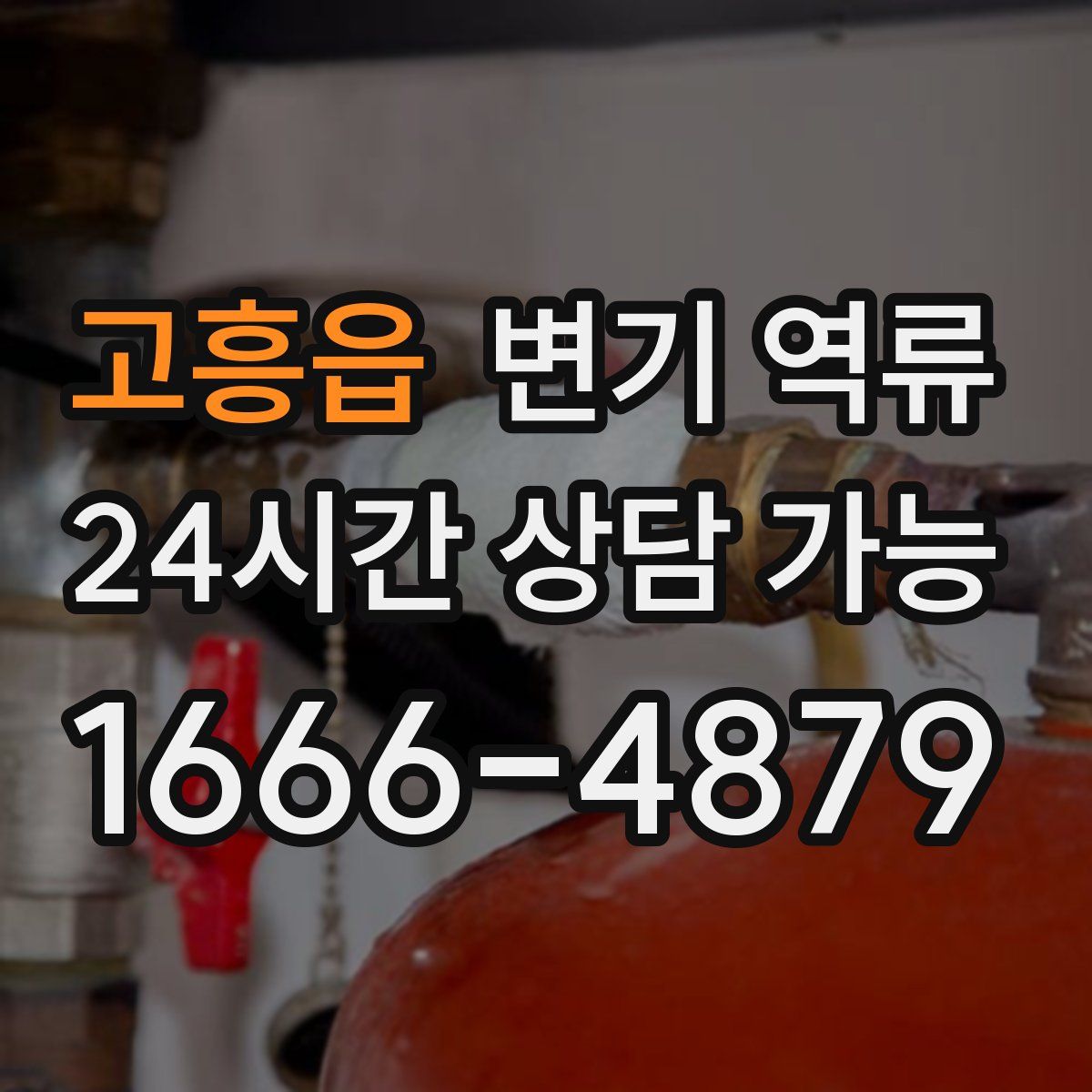 고흥읍 변기 역류