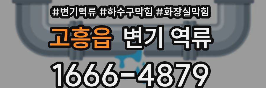 고흥읍 변기 역류