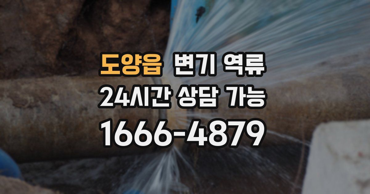 도양읍 변기 역류