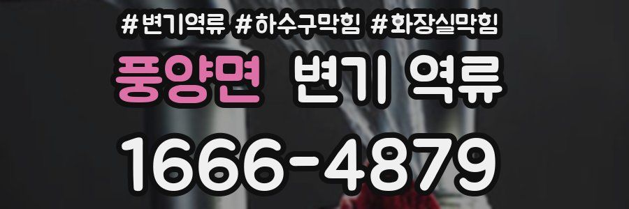 풍양면 변기 역류