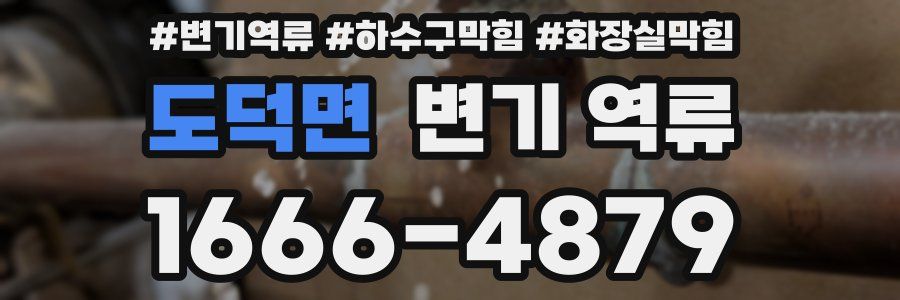 도덕면 변기 역류