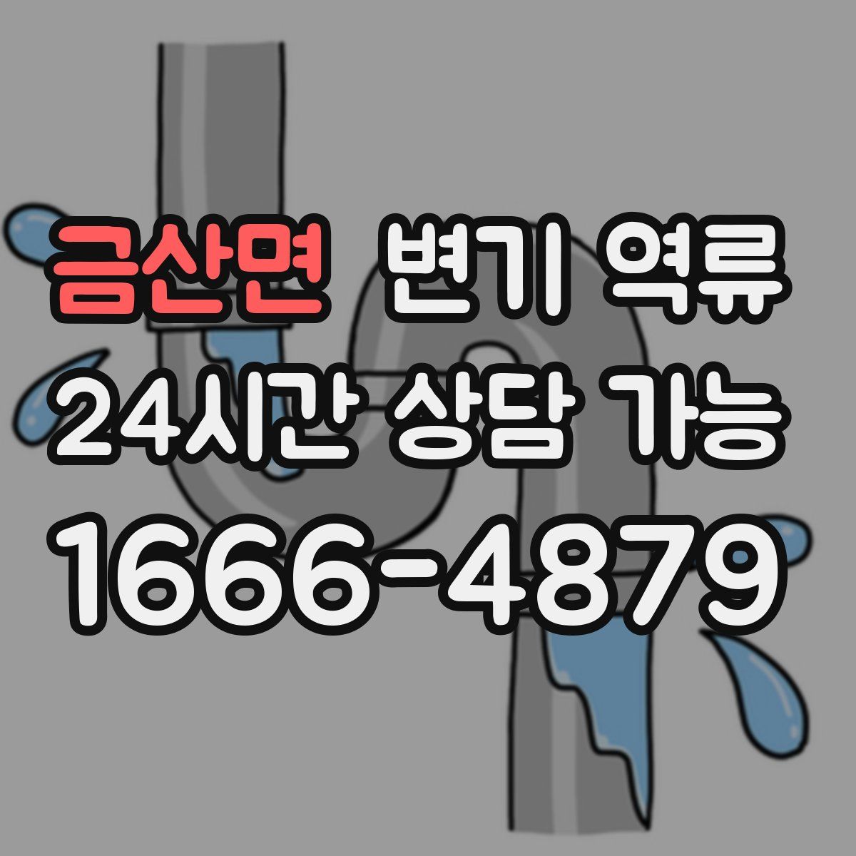 금산면 변기 역류