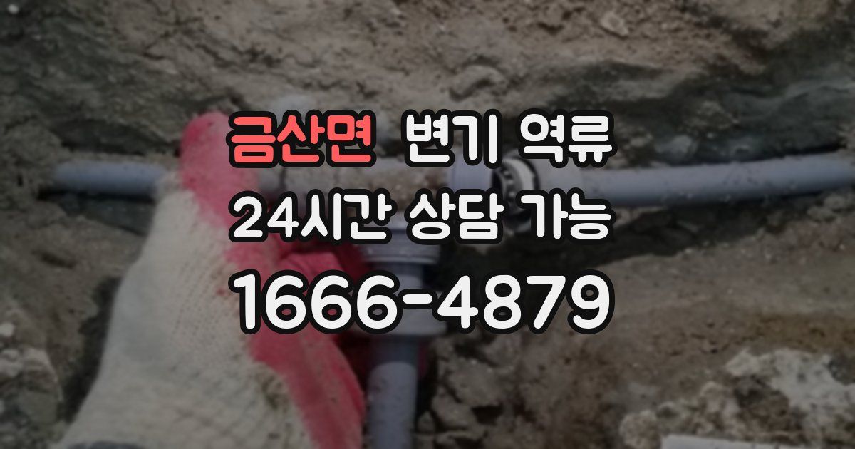 금산면 변기 역류