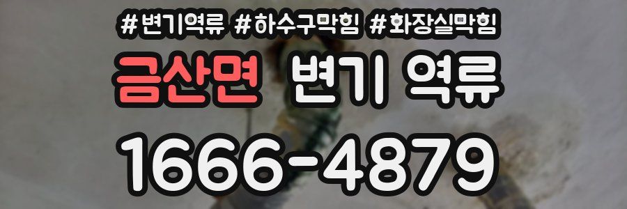 금산면 변기 역류