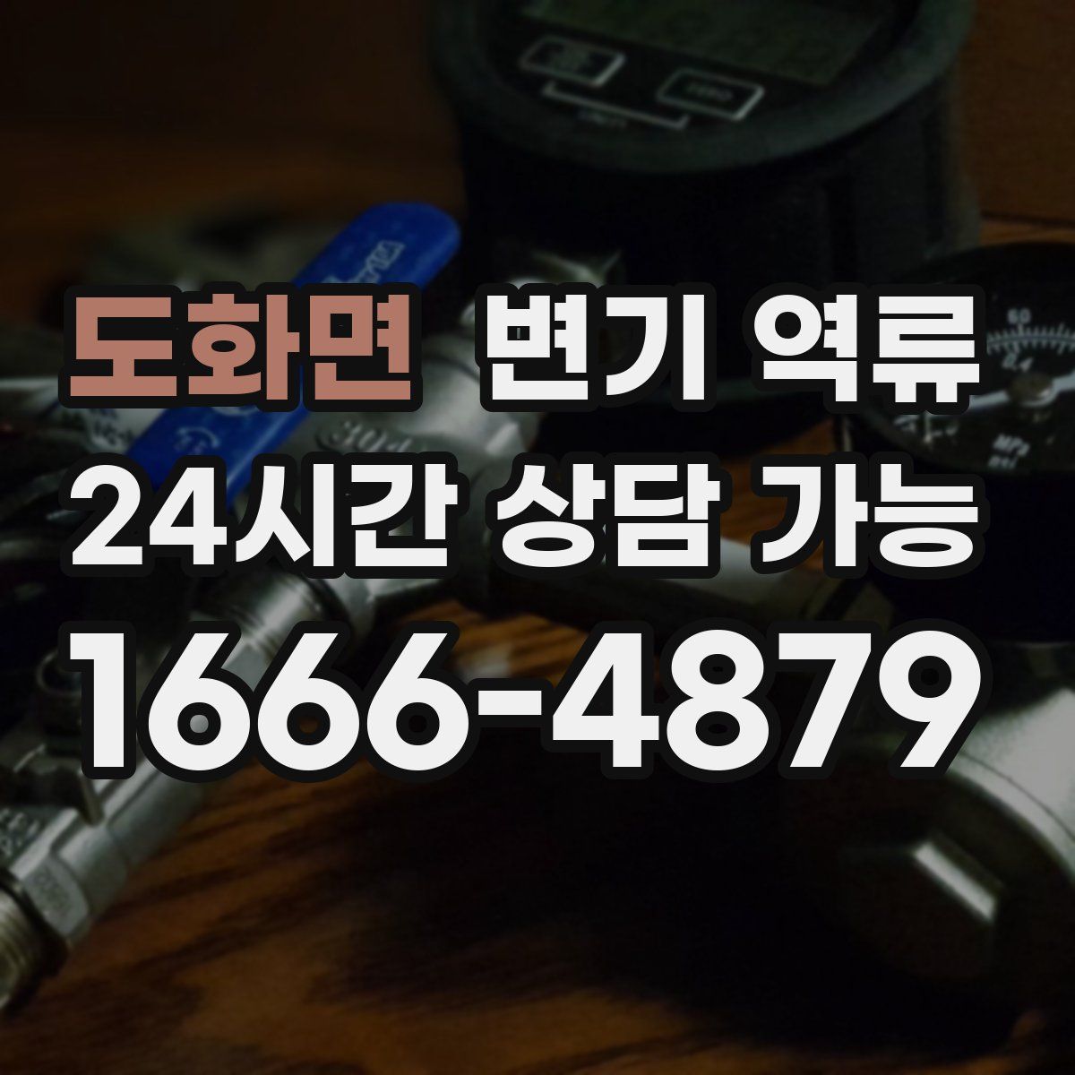 도화면 변기 역류