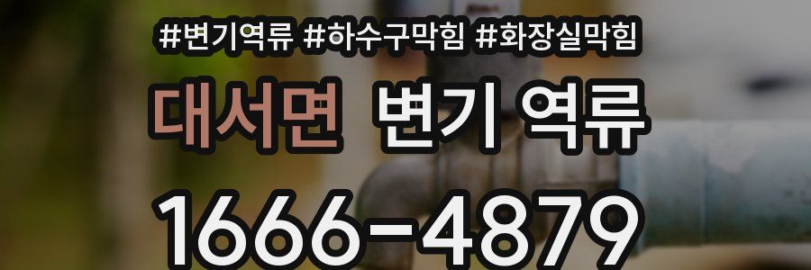 대서면 변기 역류