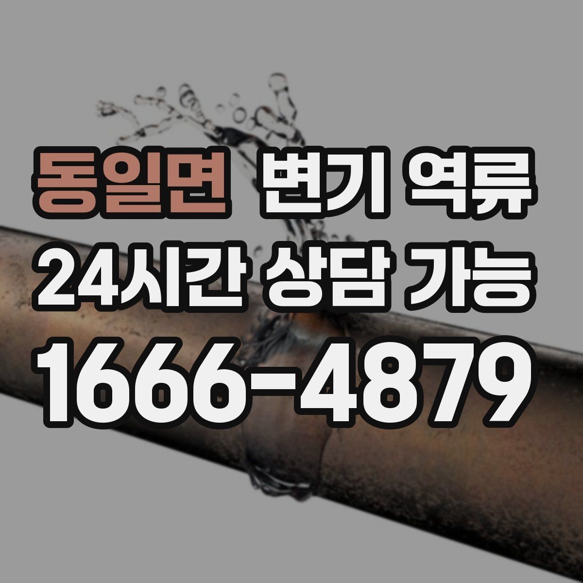 동일면 변기 역류 물색이 탁해지면 공용 라인 가능성이 커지는 이유