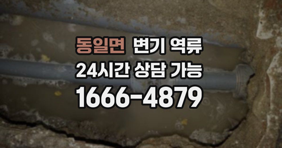 동일면 변기 역류