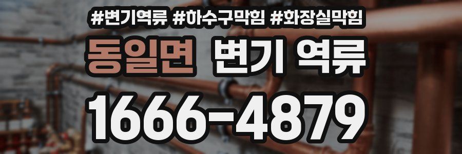 동일면 변기 역류