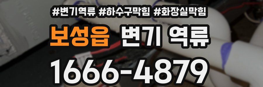 보성읍 변기 역류